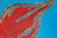 bird red sand 05
