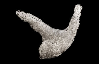 A bird sculpture made ​​of wire coated with silver